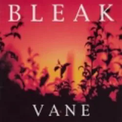 Vane