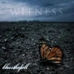 Witness